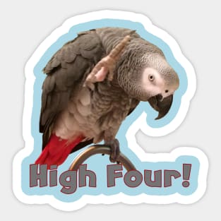 African Grey Parrot Waving High Four Sticker